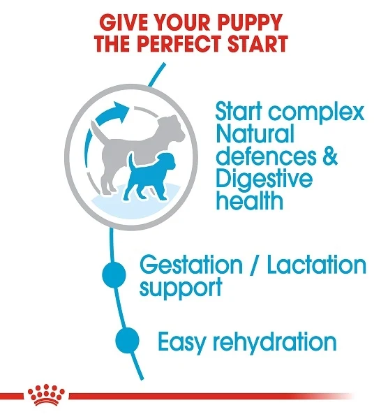 Royal Canin Mini Starter Puppy Dry Food 1KG