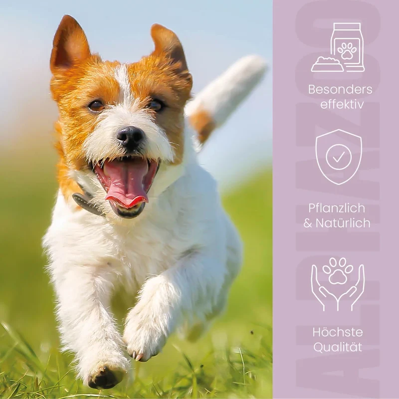 ZeckAttack Spot-On para perros