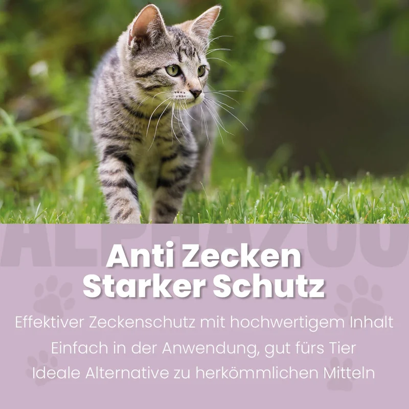 ZeckAttack Spot-On para gatos
