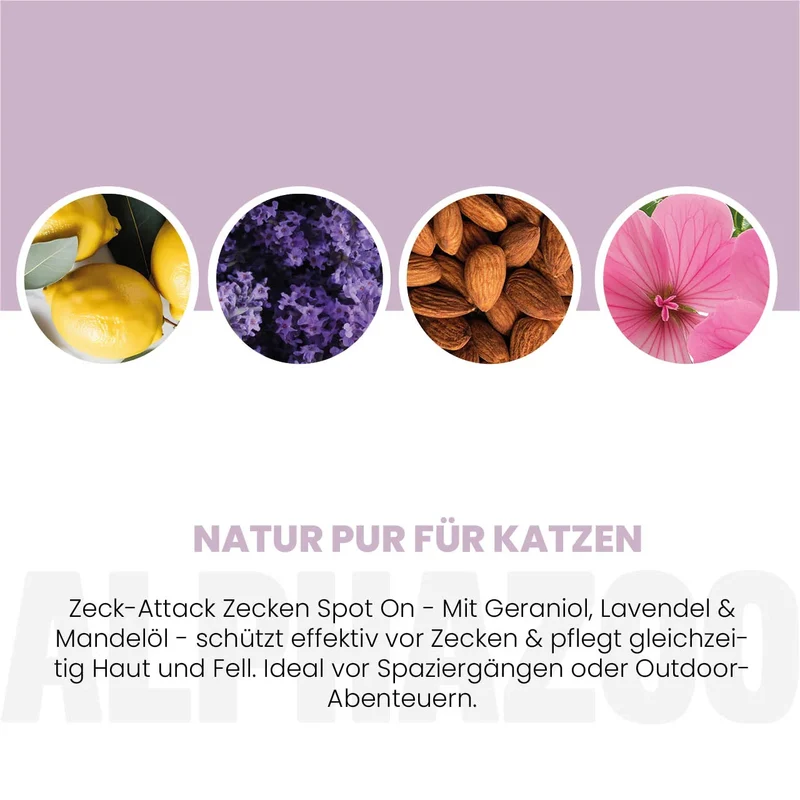 ZeckAttack Spot-On para gatos
