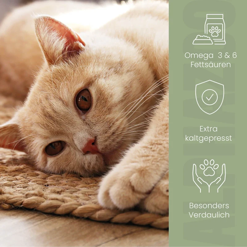 Aceite de lino para gatos