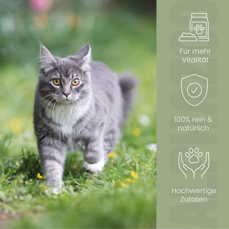 Alfa-Immun Futteröl para Katzen