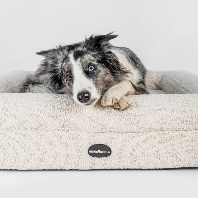 Hundebett Barklay Grande L con Bouclébezug