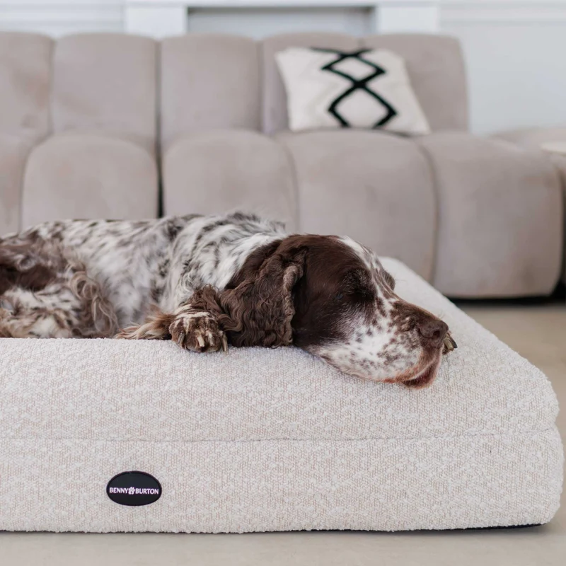 Hundebett Barklay Grande M con Bouclébezug