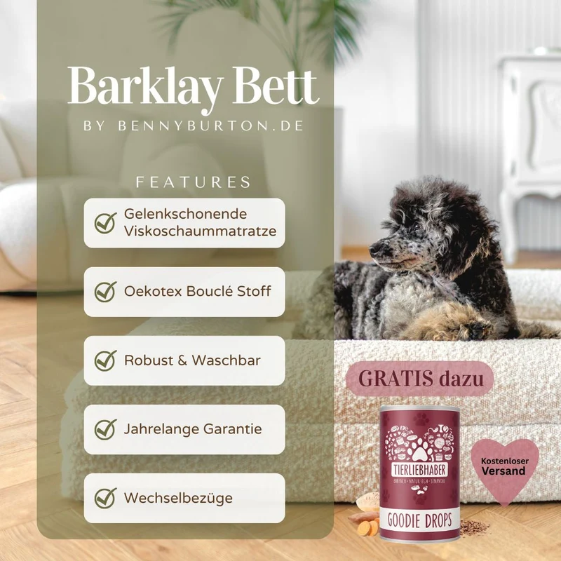 Perro Barklay Grande XS con Bouclébezug