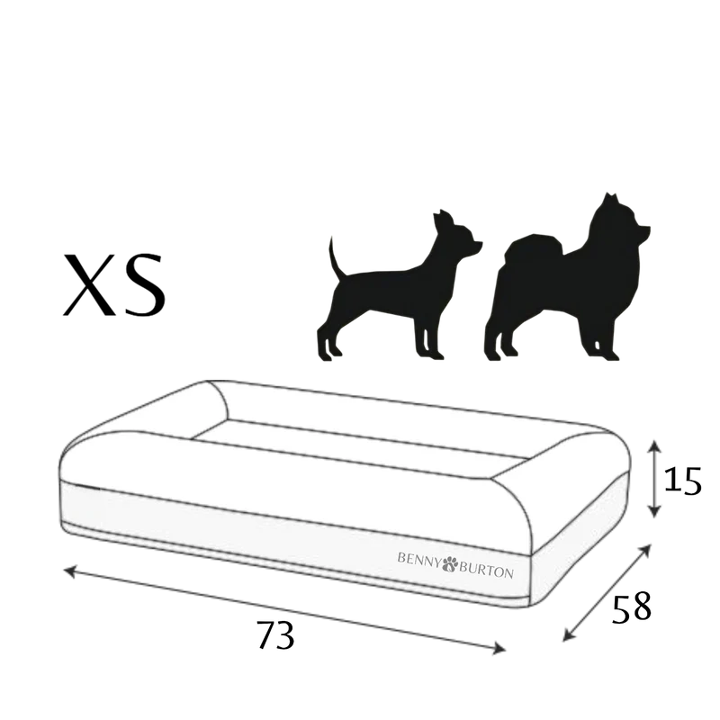 Perro Barklay Grande XS con Bouclébezug