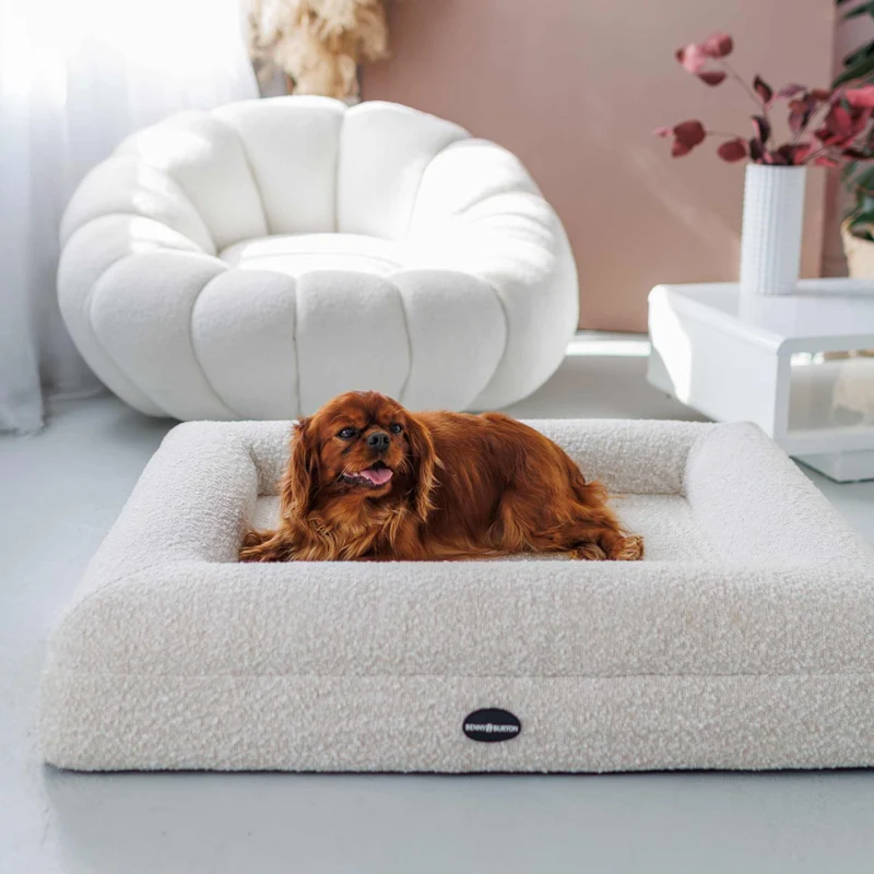 Hundebett Barklay Grande S con Boucèbezug