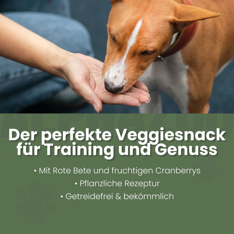 Snacks vegetales ALPHAZOO para perros: "No se volverá más verde" - Hecho en Alemania
