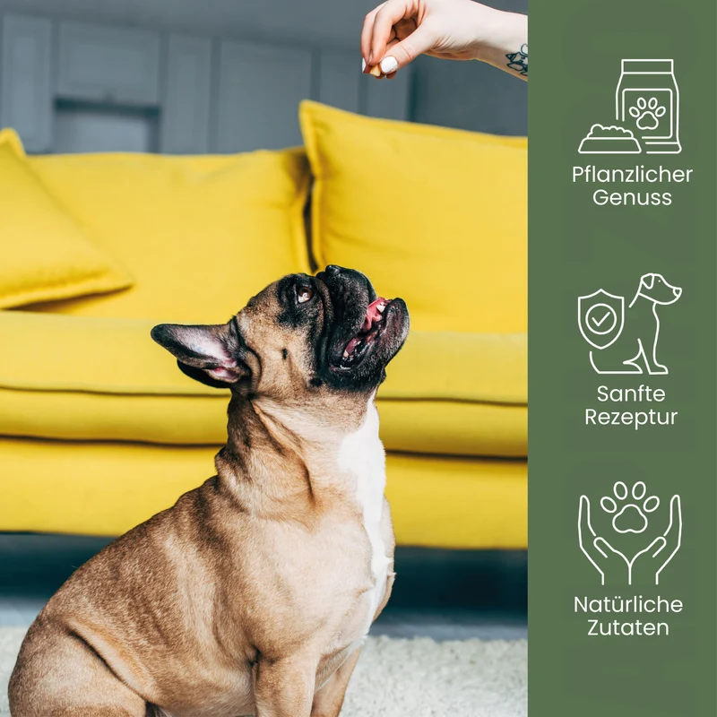 Snacks vegetales ALPHAZOO para perros: "No se volverá más verde" - Hecho en Alemania