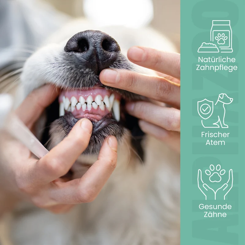 Lápiz dental para mostrar los dientes