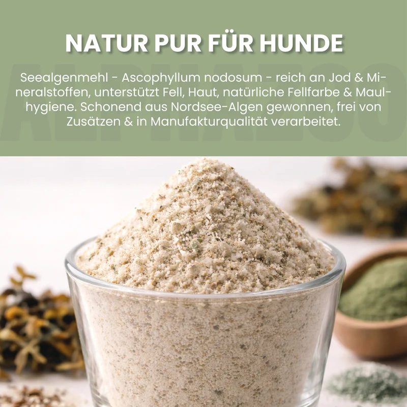 Seealgenmehl
