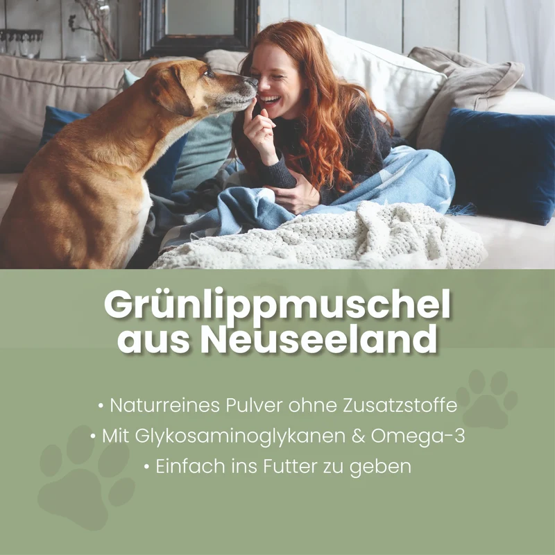 Grünlippmuschel-pulver para perros