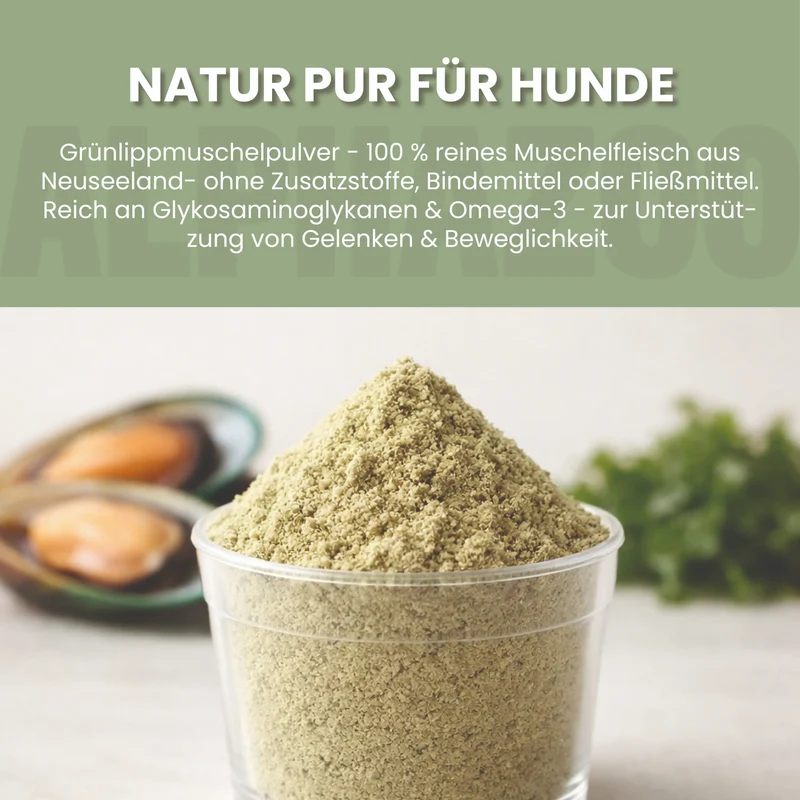 Grünlippmuschel-pulver para perros