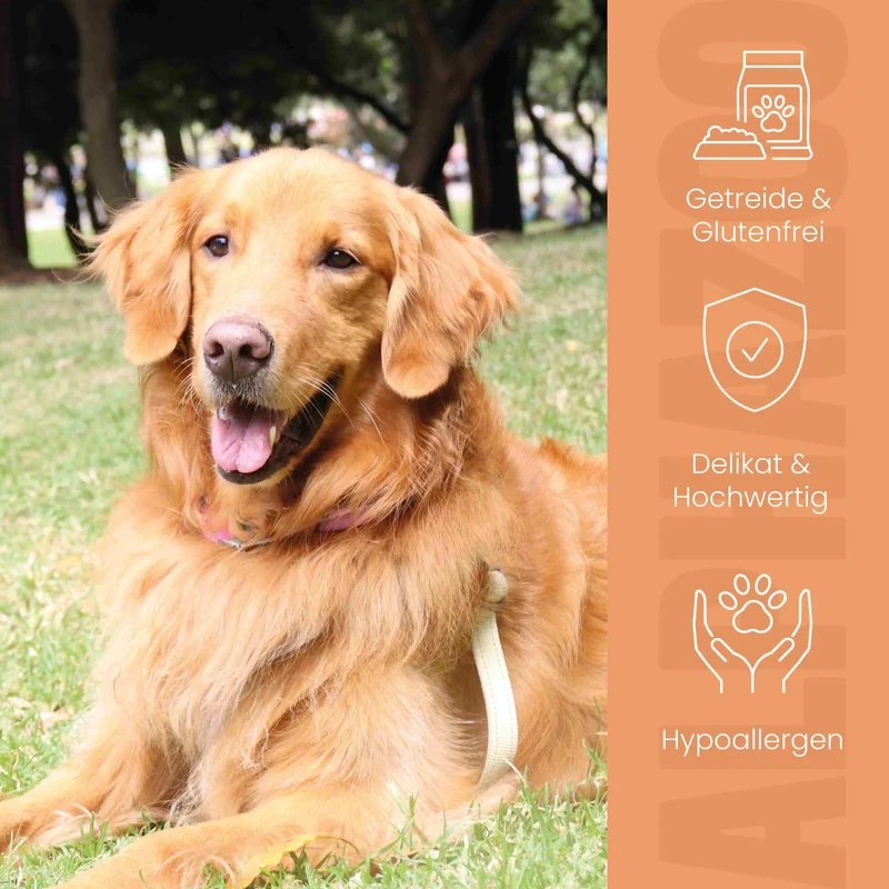 Monoprotein Pferd Nassfutter para perros