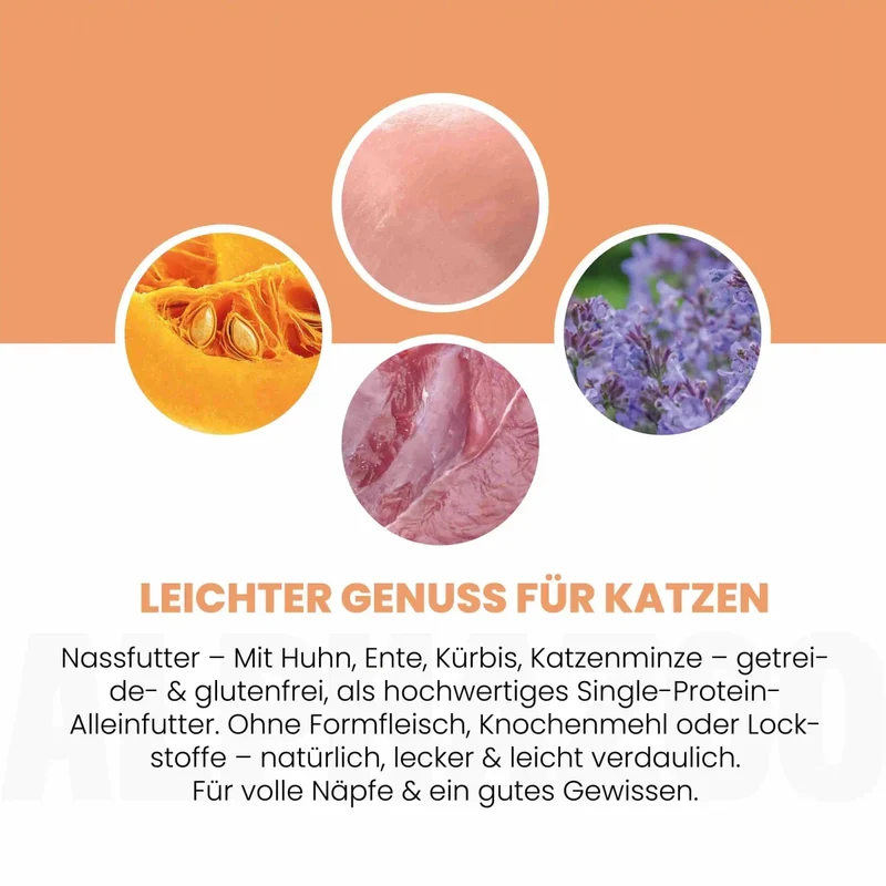 Ente + Huhn Nassfutter para Katze