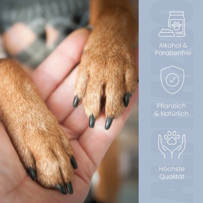 Big Paw-ty Pfotenpflege para perros
