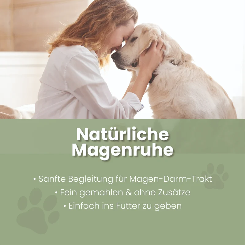Ulmenrinde Polvo para Perros