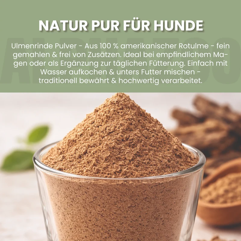 Ulmenrinde Polvo para Perros
