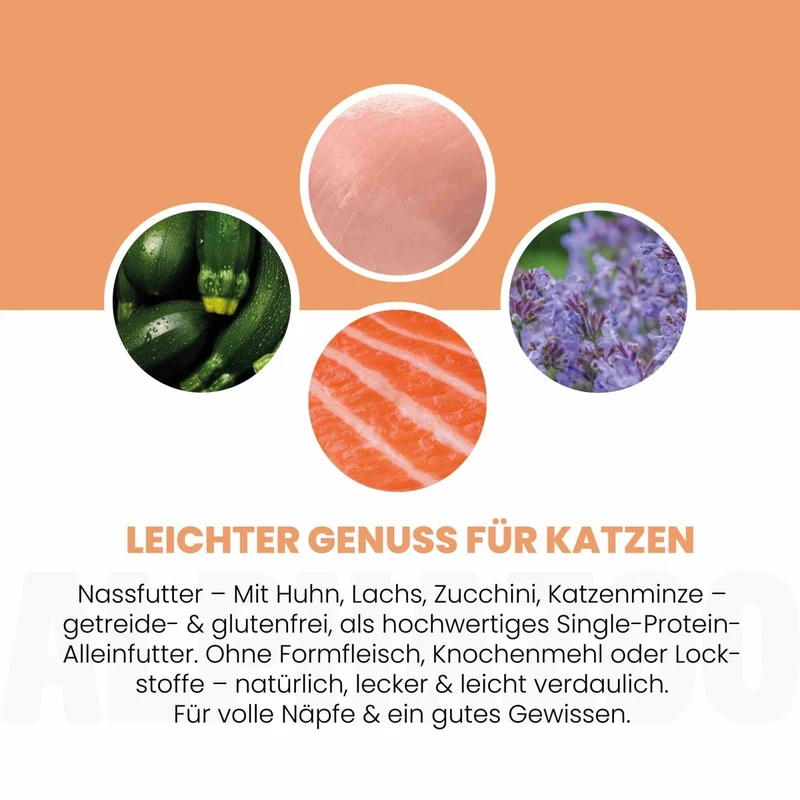 Lachs + Huhn Nassfutter para Katze