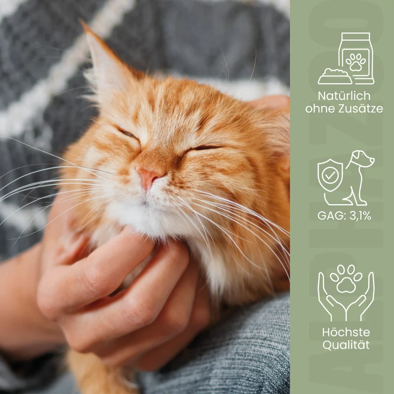 Grünlippmuschel-Pulver para Katzen