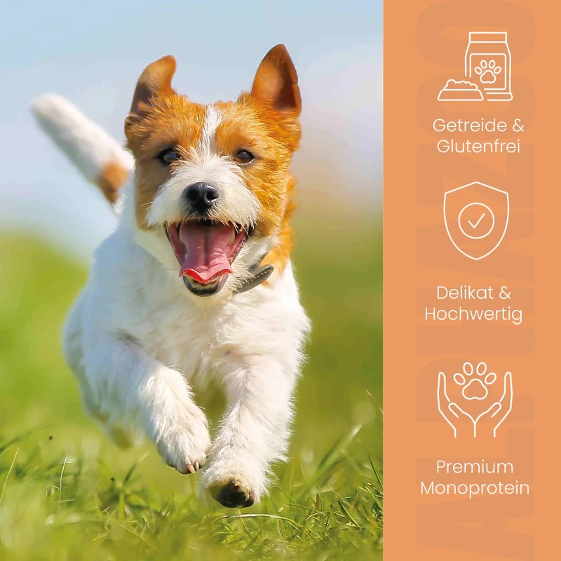 Kaninchen + Kalb Nassfutter para perros mayores