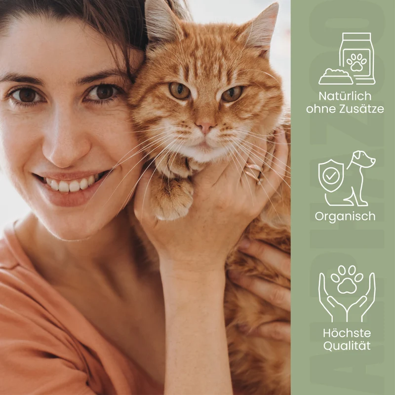 MSM Polvo para Gatos