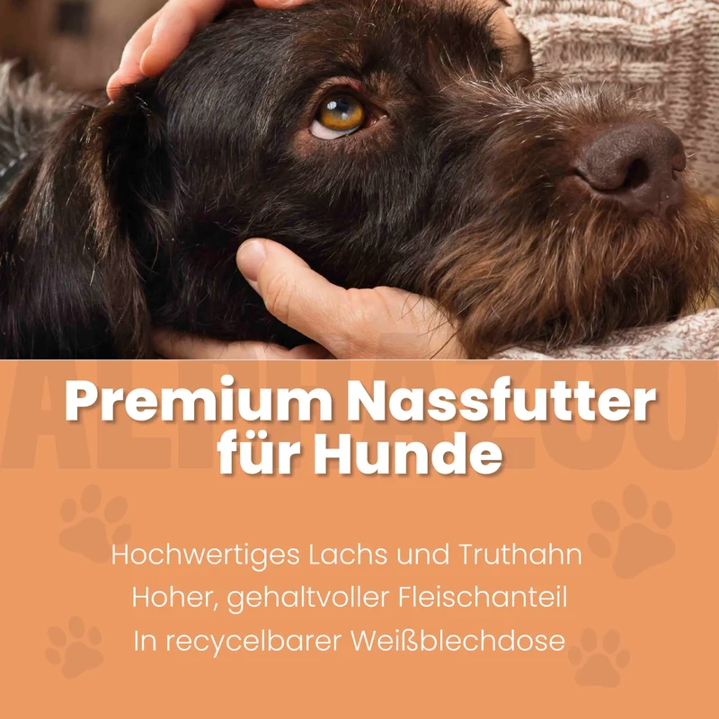 Lachs + Truthahn Nassfutter para perros adultos