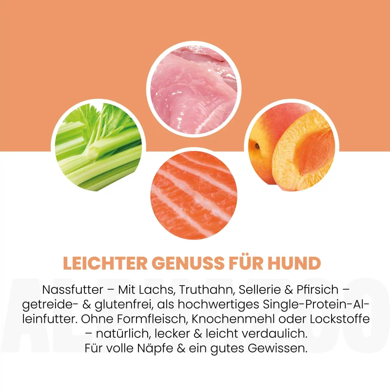Lachs + Truthahn Nassfutter para perros adultos