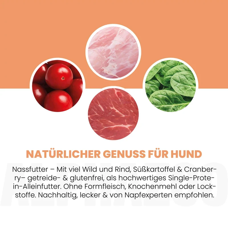 Wild + Rind Nassfutter para perros adultos