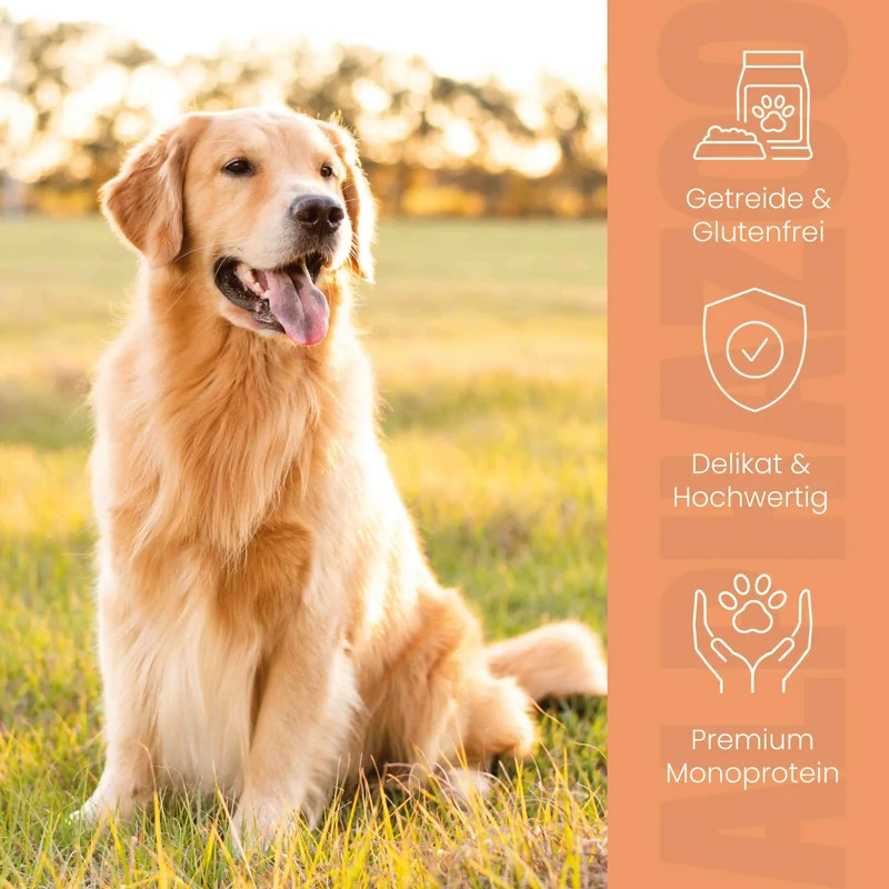 Wild + Rind Nassfutter para perros adultos