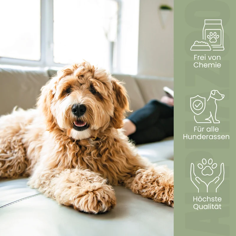Seelenruhe Tabletten para perros