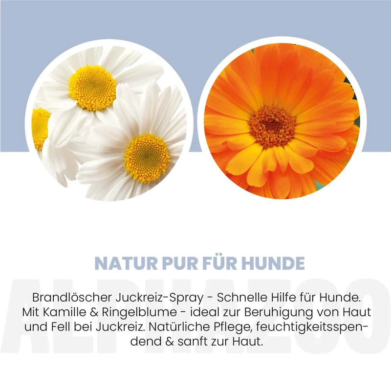 Brandlöscher Anti Juckreiz Spray para perros