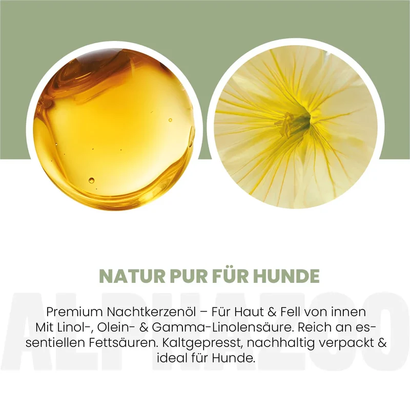 Aceite de onagra para perros