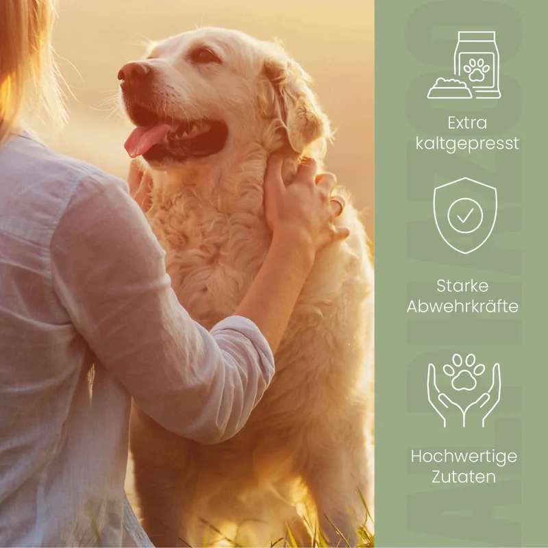 Aceite de onagra para perros