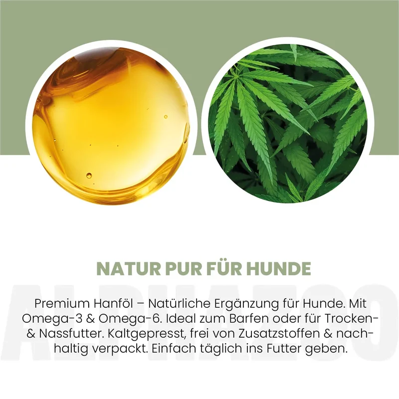 Aceite de cáñamo para perros