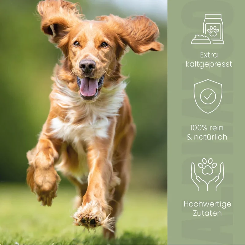 Aceite de cáñamo para perros