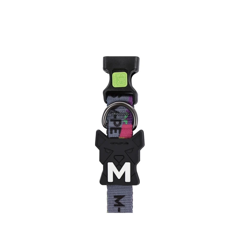 URBAN STYLE DNA Dog collar