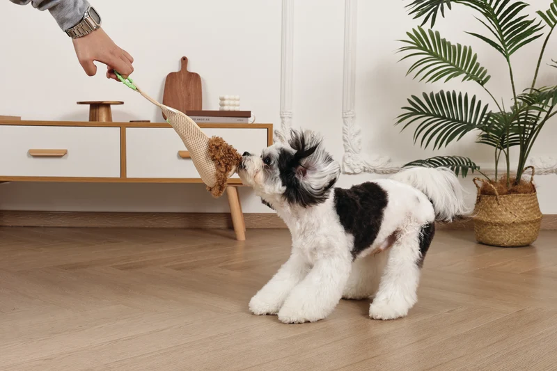 Slippers Dog toy Monkey