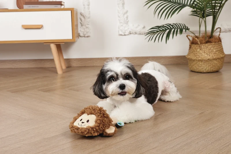Slippers Dog toy Monkey