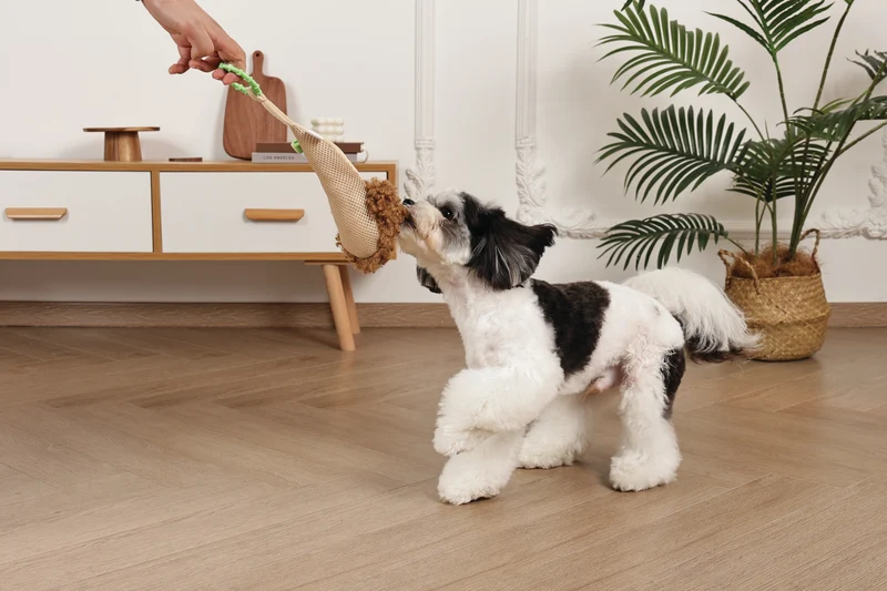 Slippers Dog toy Monkey
