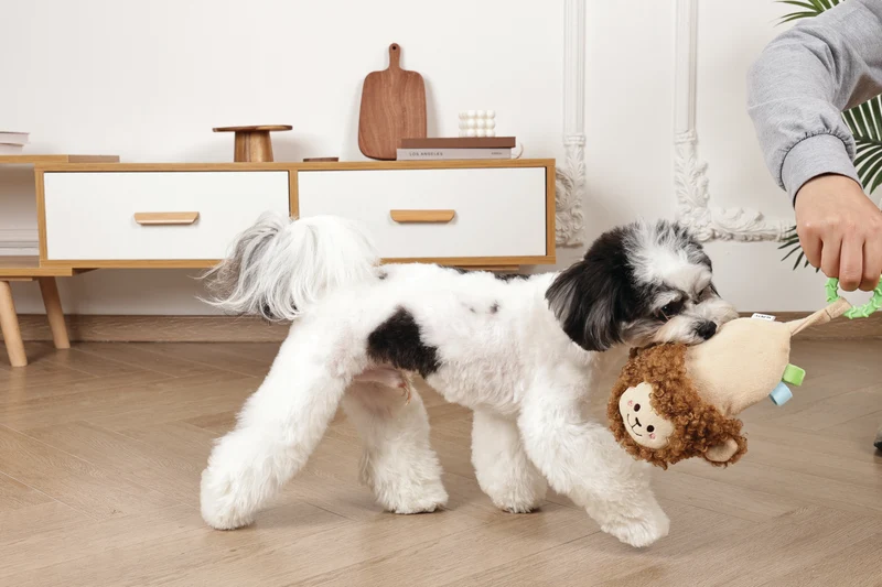 Slippers Dog toy Monkey