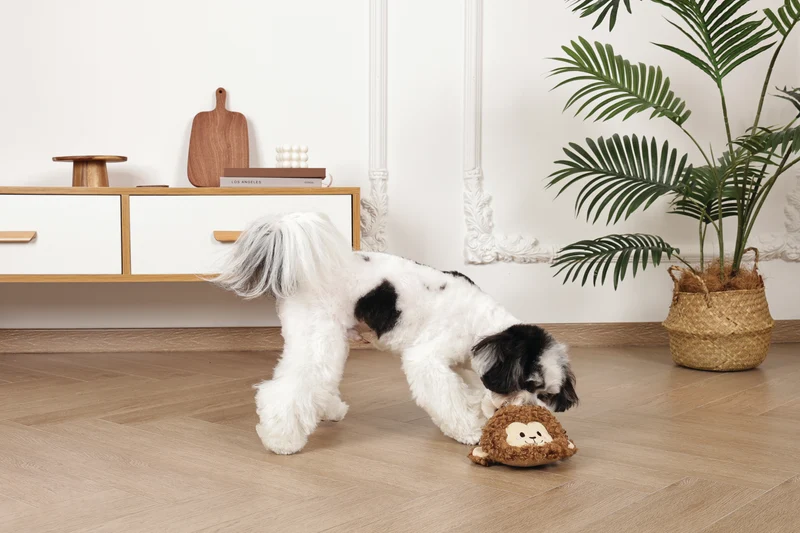Slippers Dog toy Monkey