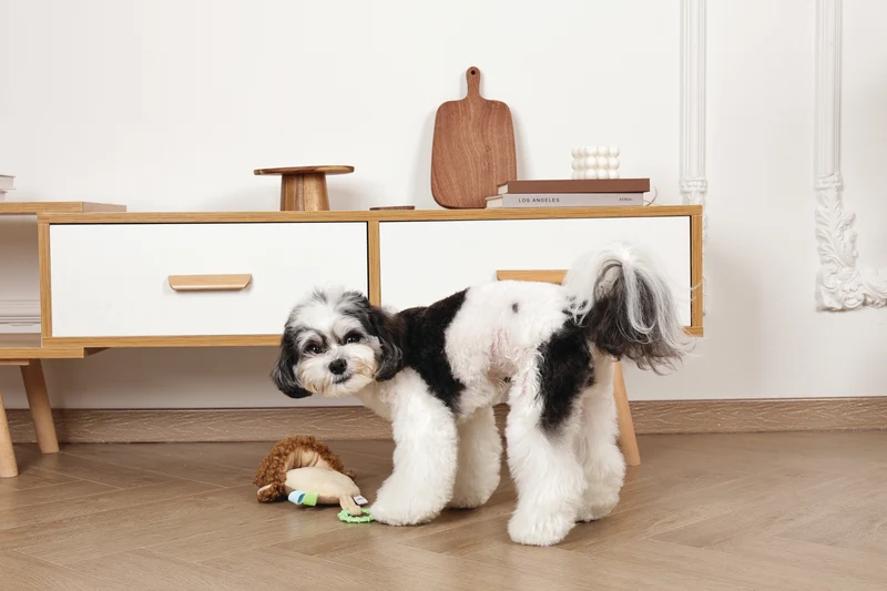 Slippers Dog toy Monkey