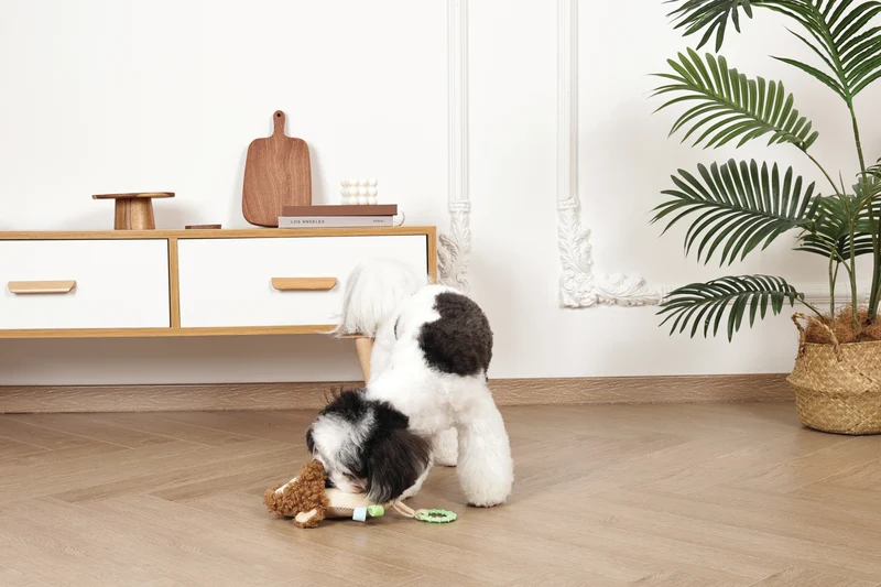 Slippers Dog toy Monkey