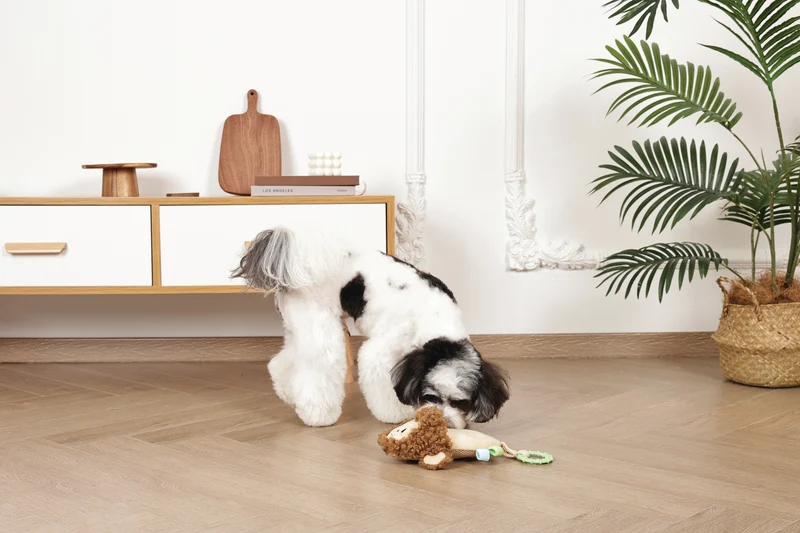 Slippers Dog toy Monkey