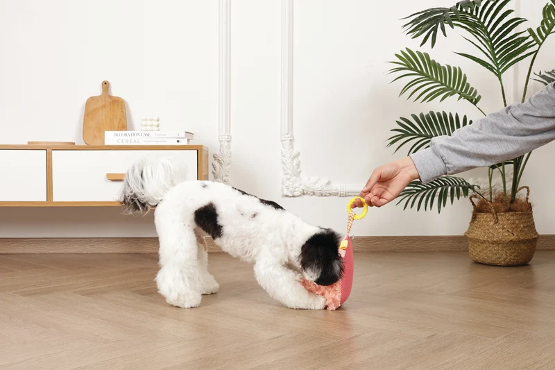 Slippers Dog toy Bunny