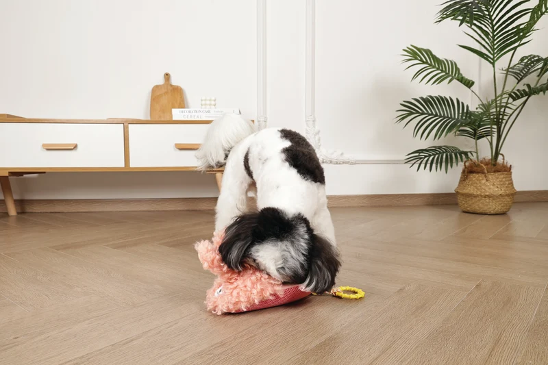 Slippers Dog toy Bunny