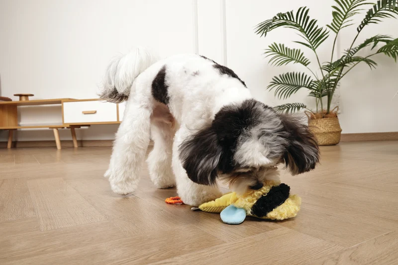 Slippers Dog toy Bee
