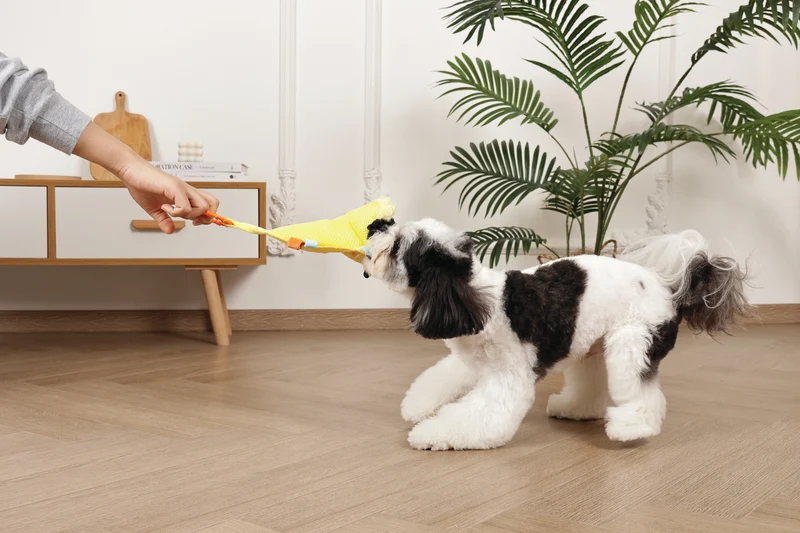 Slippers Dog toy Bee