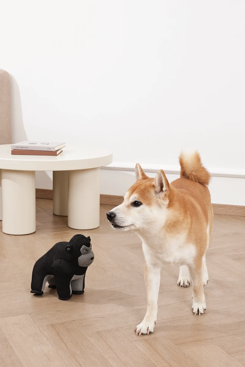MEGA Dog toy Ape